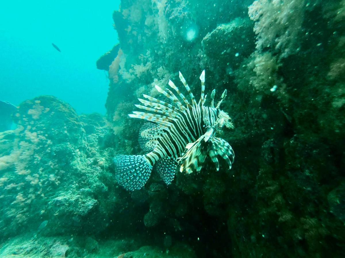 קו מוק Mook Montra Resort Sea Front מראה חיצוני תמונה